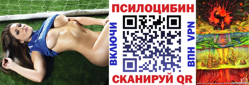 Купить  Моздок  Галлюциногенные грибы Cubensis 